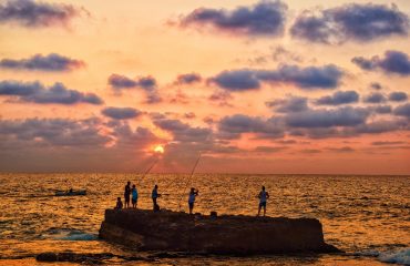pixabay-4695461-post-130-1767699550.jpg
