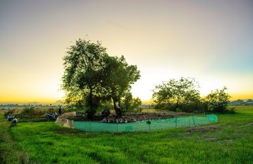 pixabay-7089290-post-118-1767699447.jpg